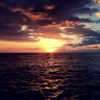 halleinhawaii